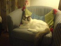 Si Yuma Nantis, Budimir